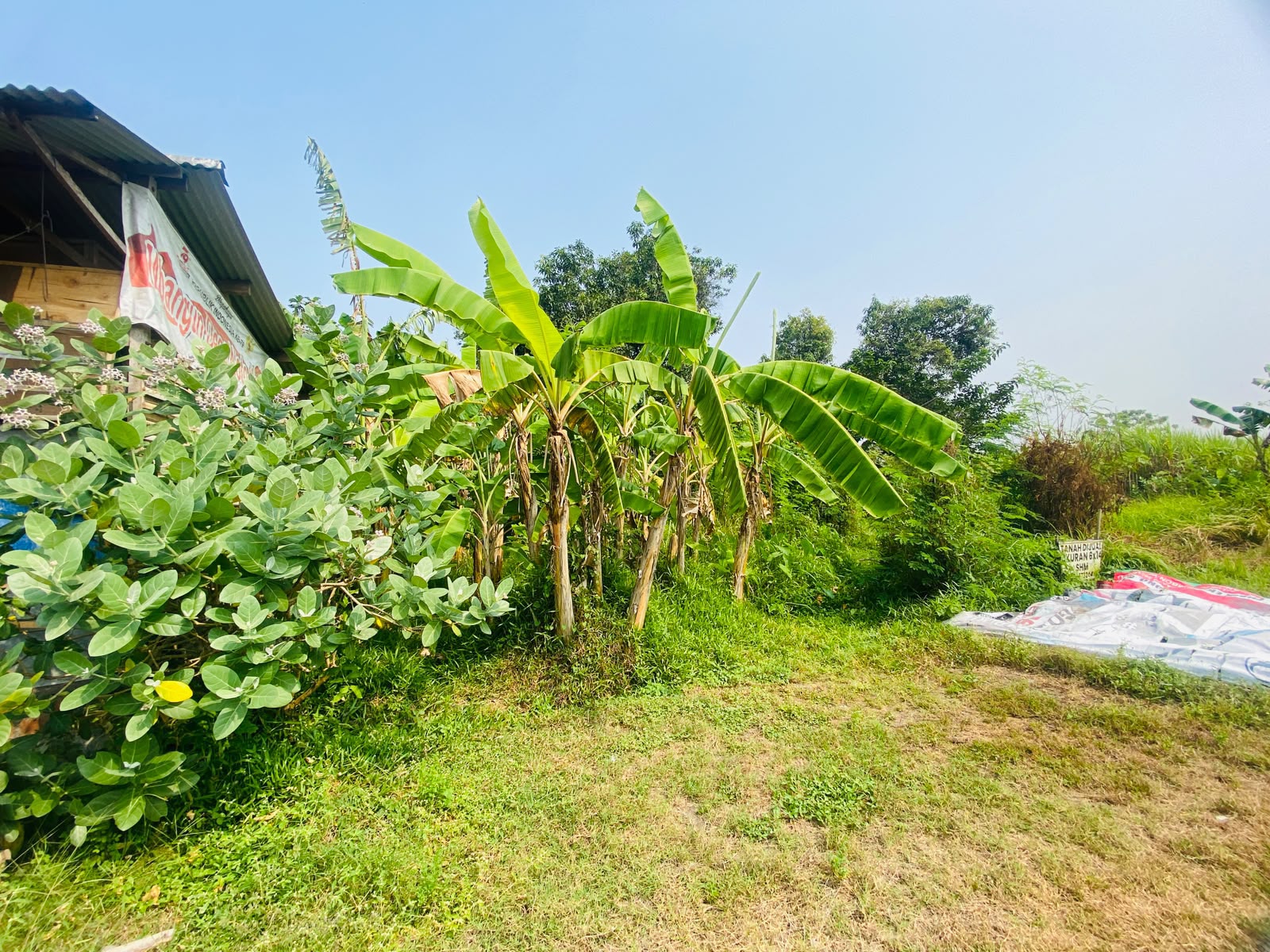Tanah Dijual - Foto 1