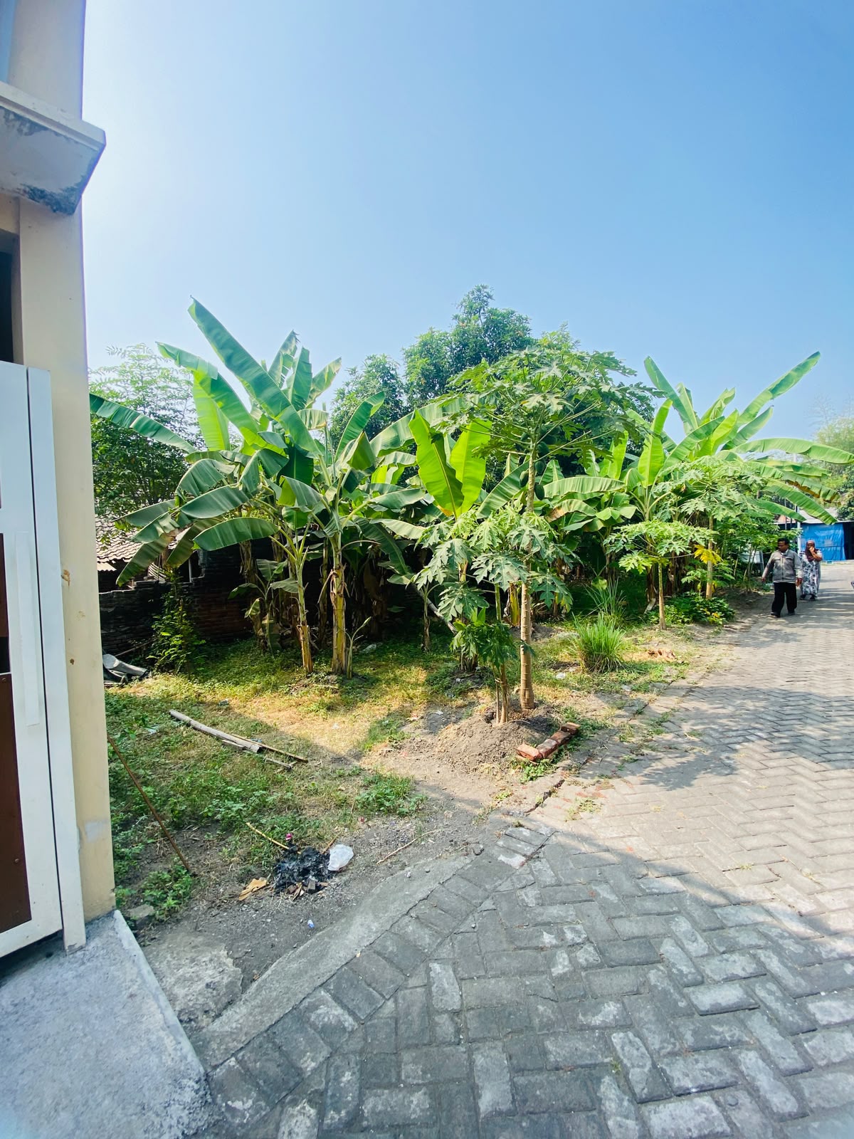 Tanah Dijual - Foto 4