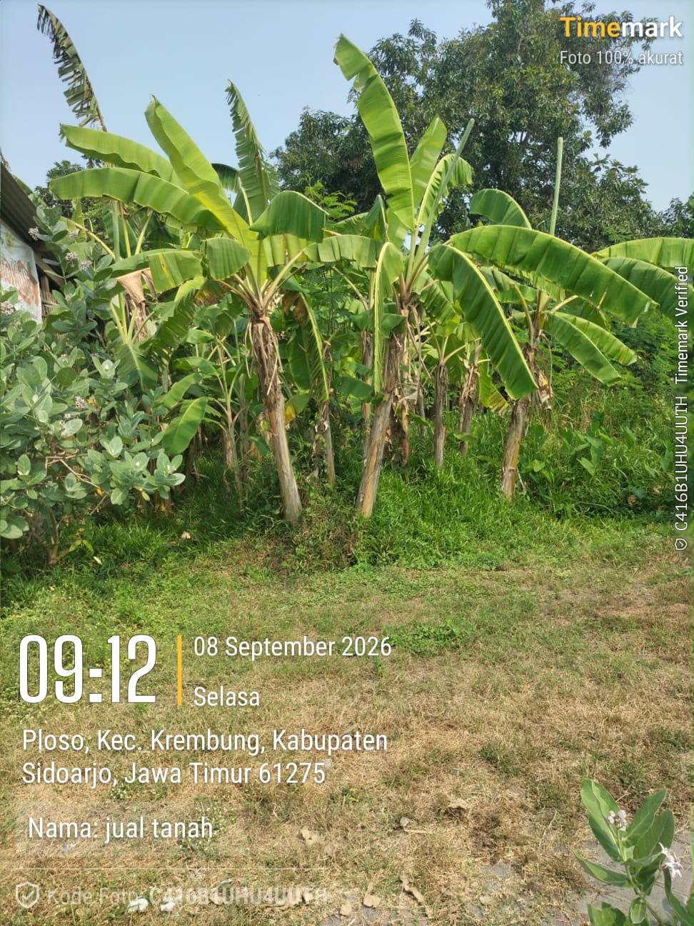 Tanah Dijual - Foto 5