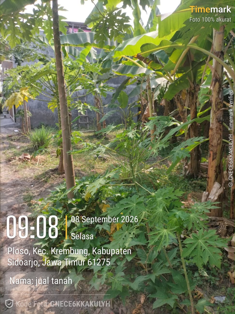 Tanah Dijual - Foto 6