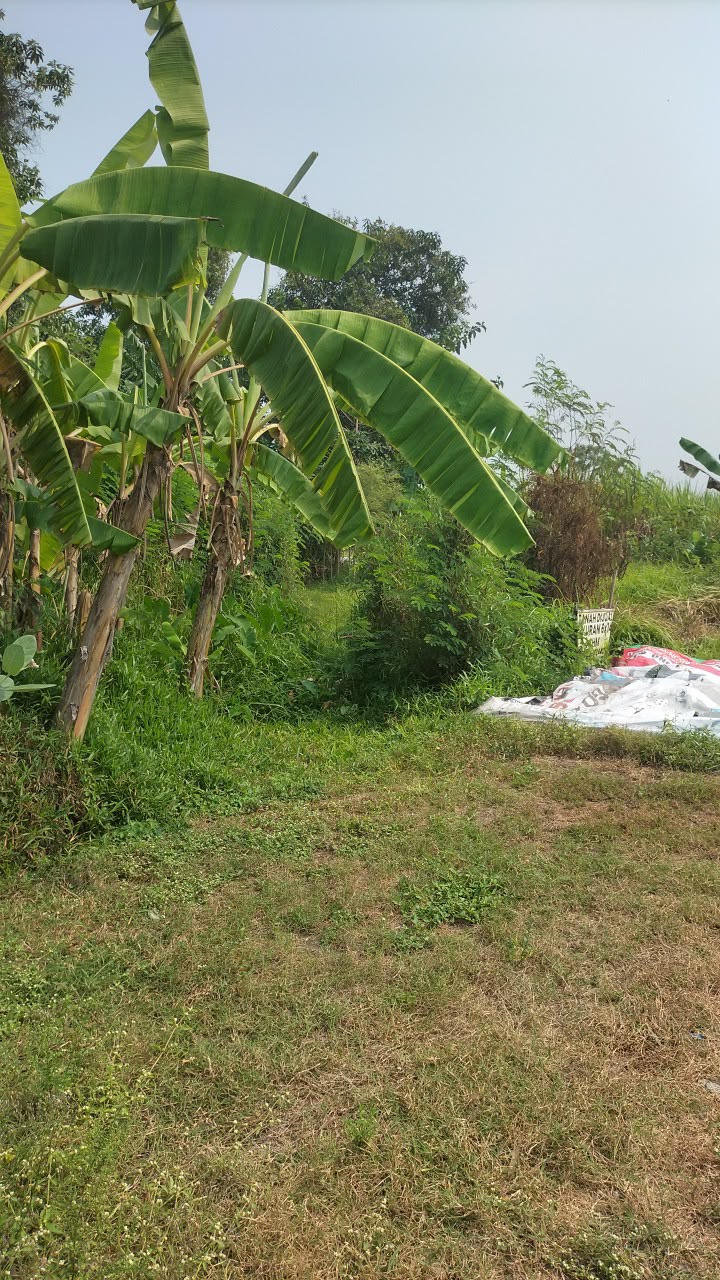 Tanah Dijual - Foto 7